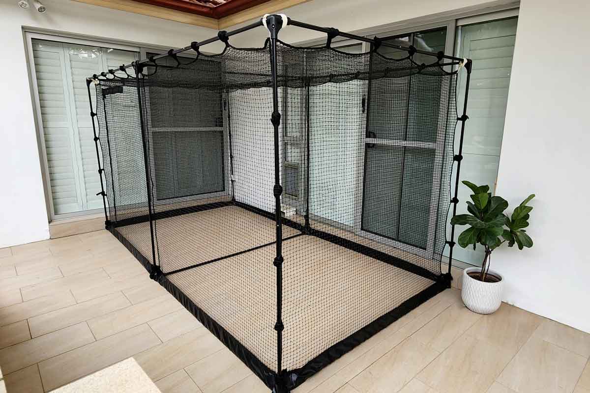 Chicken Wire Cat Cage Diy Pvc Cat Enclosure Diy Outdoor Cat