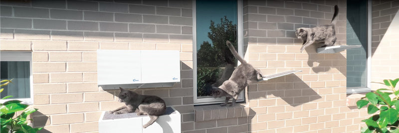Skywalks Outdoor Cat Accessories