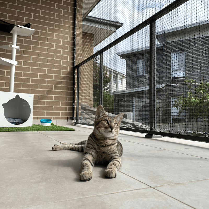 Cat netting for balconies