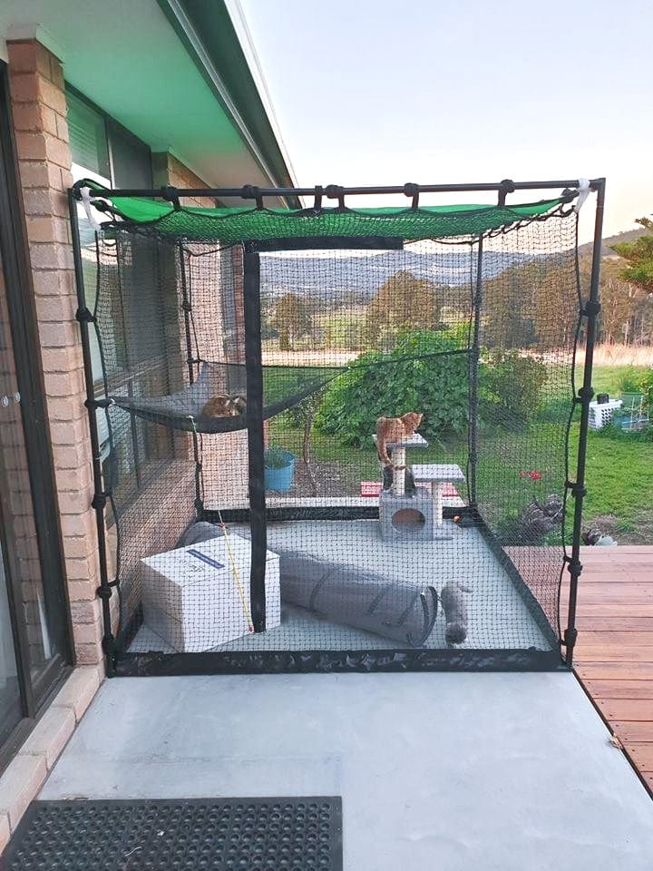 Cat.net Extra Wide Gallery – Catnetting