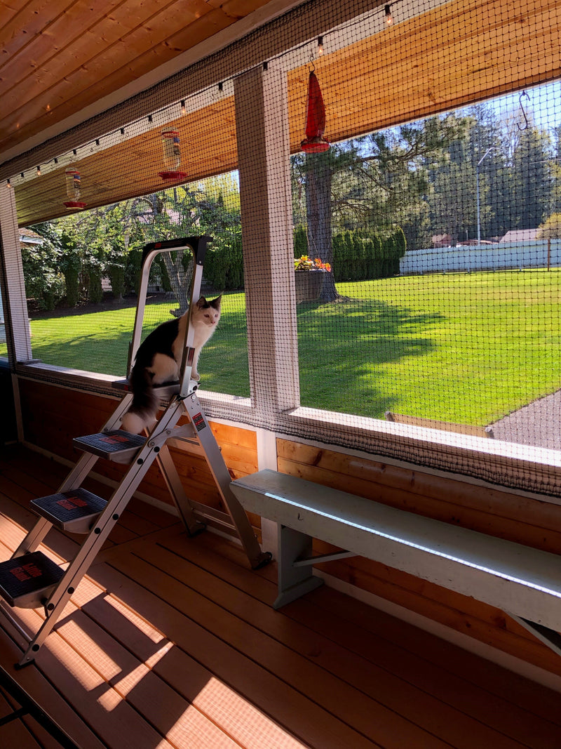 Screened-in porch for cats