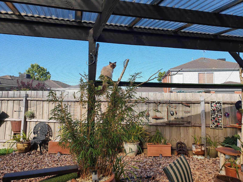 Cat netting for full enclosures