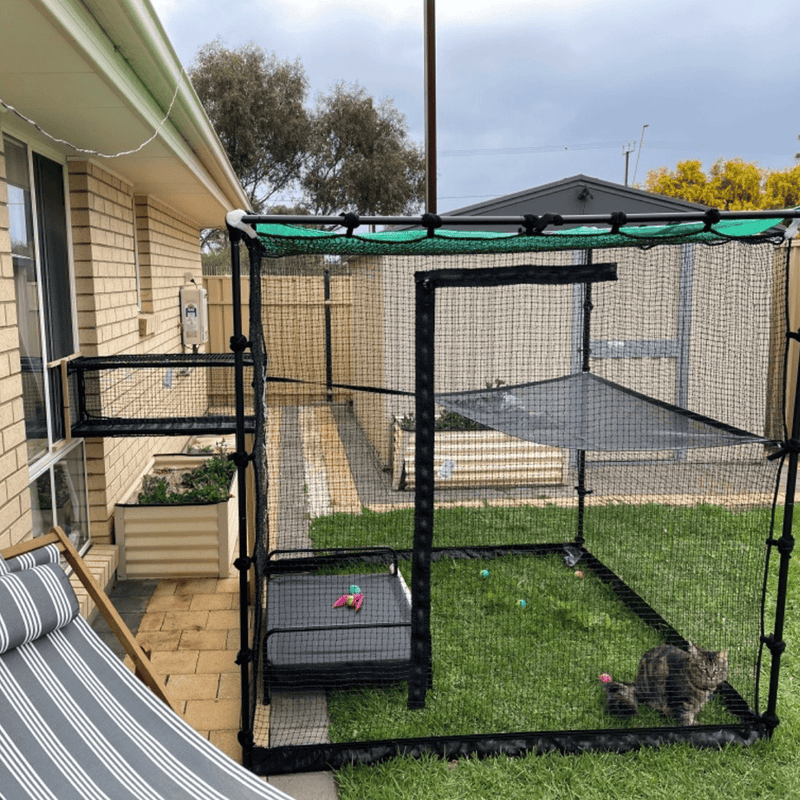 Backyard or lawn