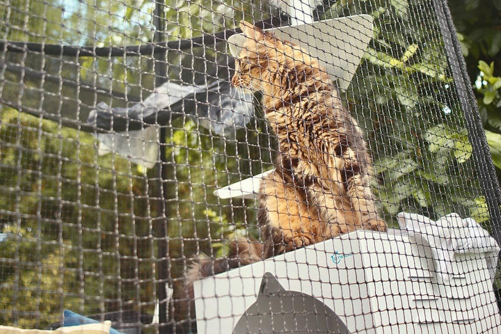 Catnets Lite Portable Cat Enclosure Portable Catio Tower