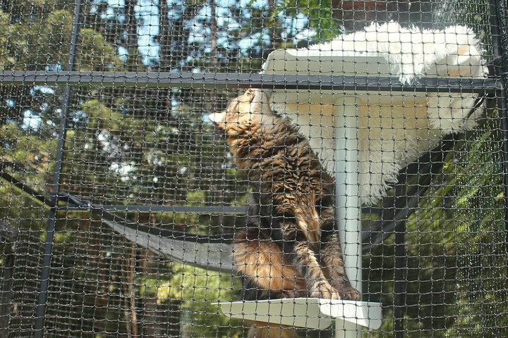 Catnets Lite Portable Cat Enclosure Portable Catio Tower