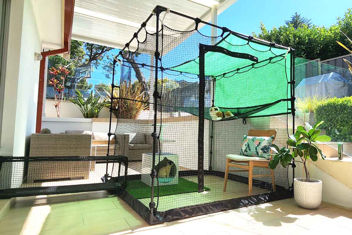 Cat lounging inside a portable catio on a sunny porch