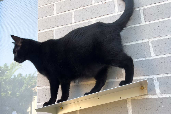 Catnets SKYWALKS Cat Climbing System Black Carpeted Cat Climbing "Ramp" - Black