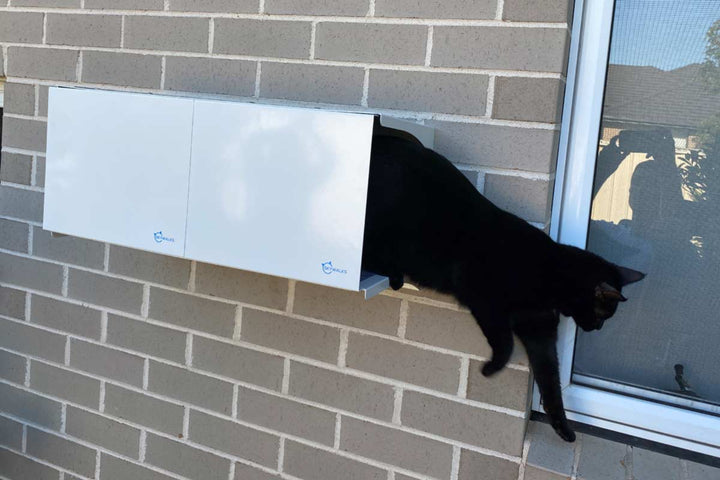 Catnets SKYWALKS Cat Climbing System Black Skywalks Cat Hideaway “Large” - Black