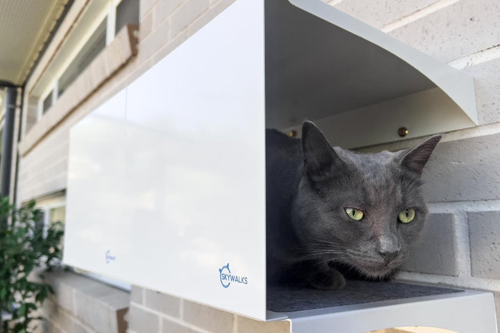 Catnets SKYWALKS Cat Climbing System Black Skywalks Cat Hideaway “Large” - Black