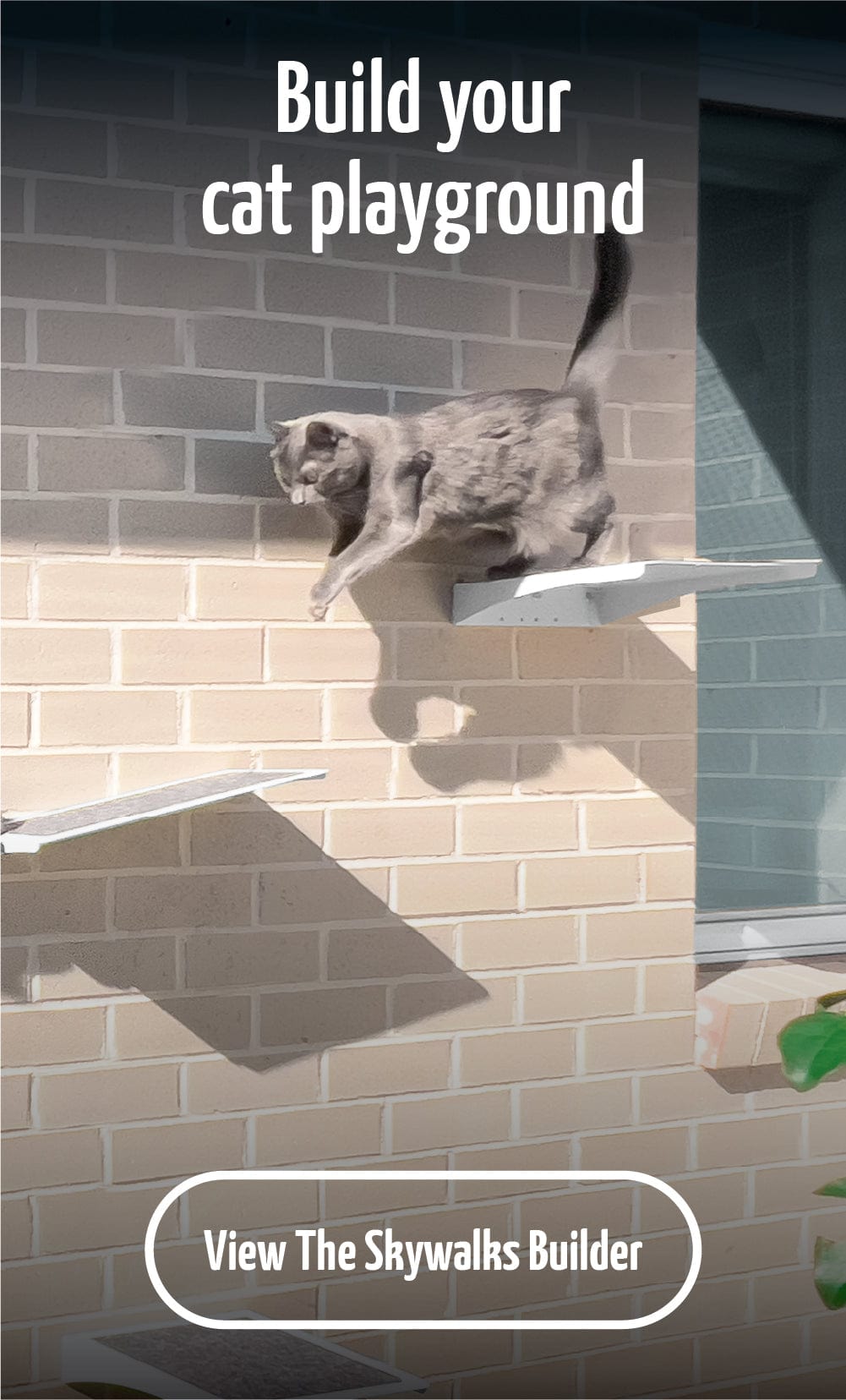 Cat Netting with Reinforced Edging – Catnetting