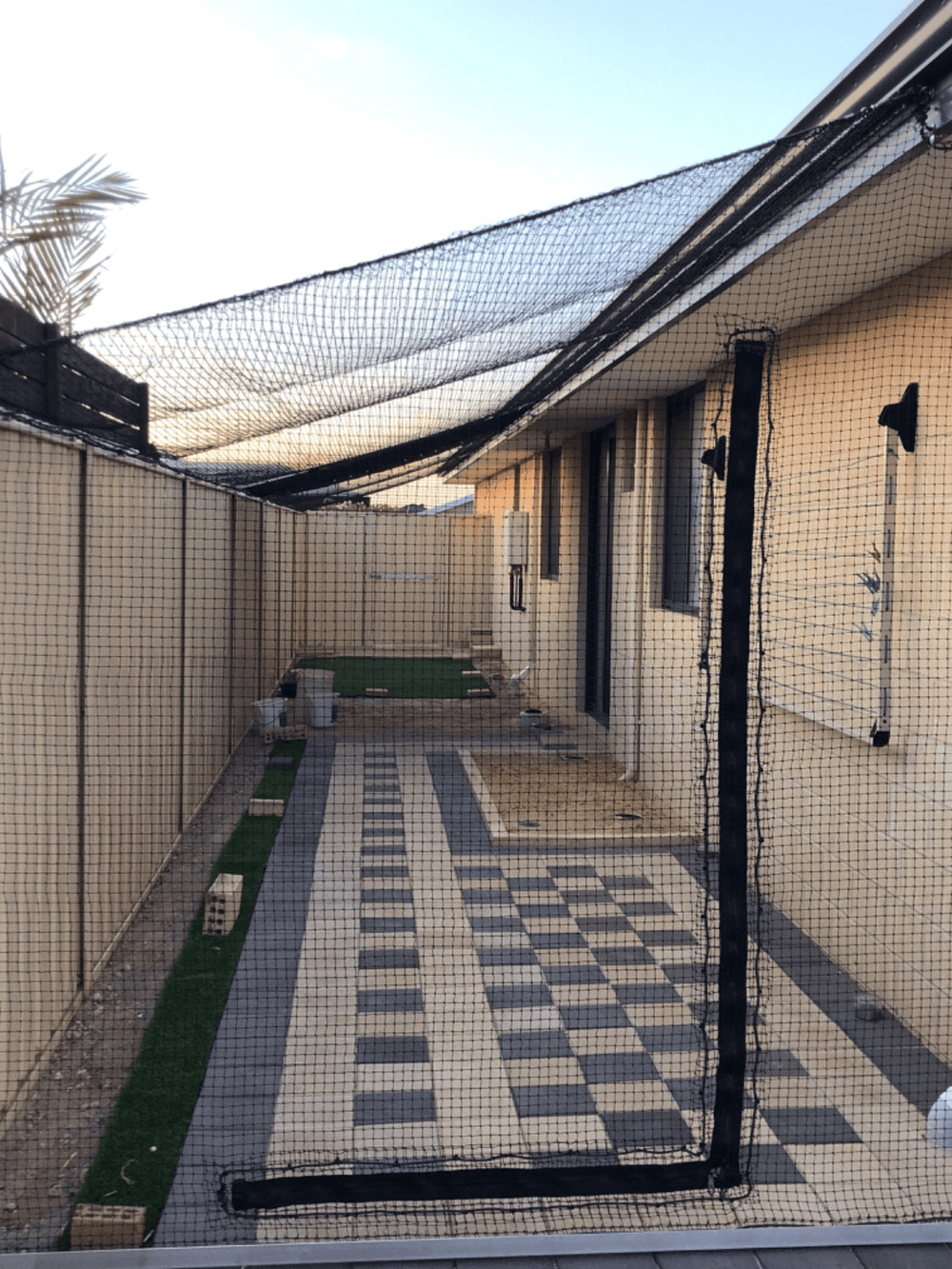 Cat 2024 run netting