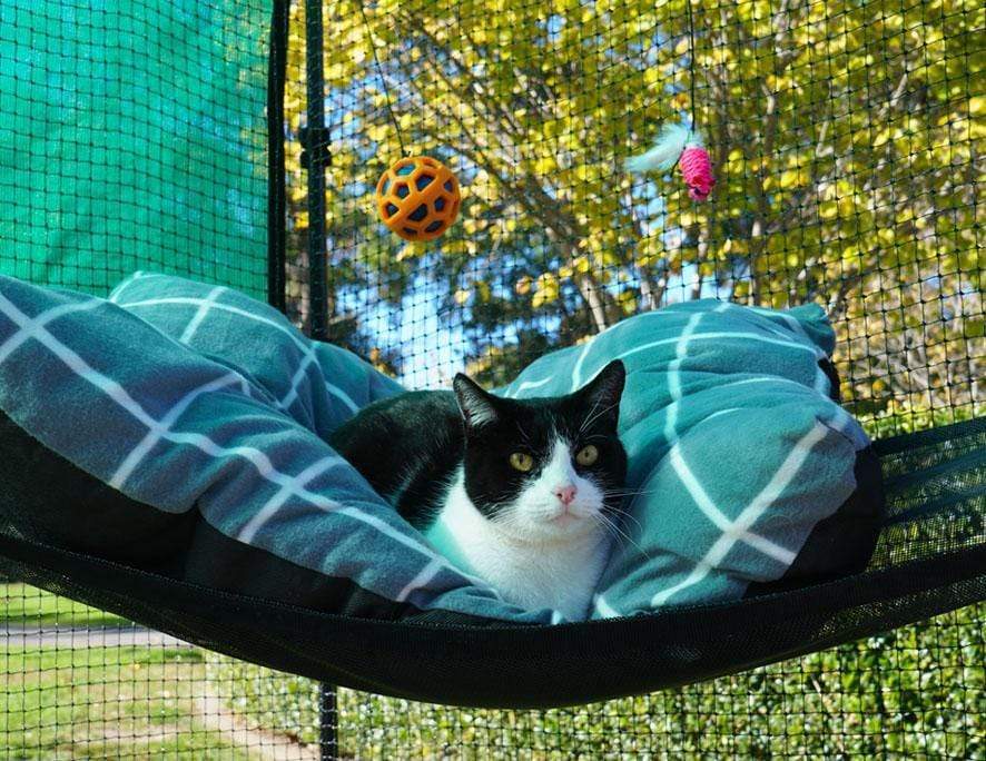 Premium Portable Catio 5’10” – Catnetting