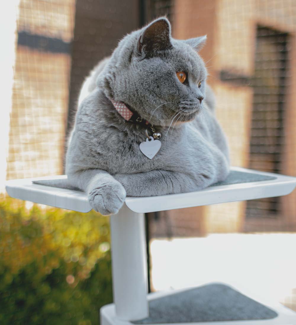 Outdoor clearance cat tower