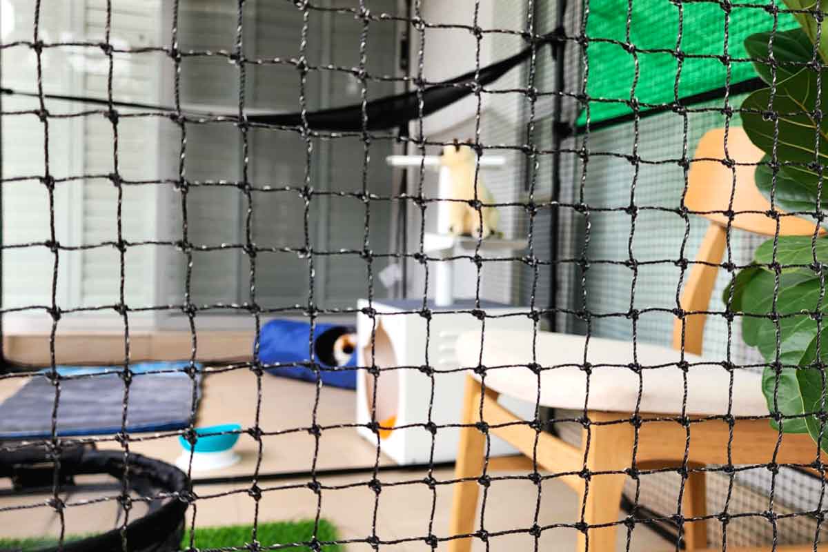 Double Size Classic Portable Catio 11'8