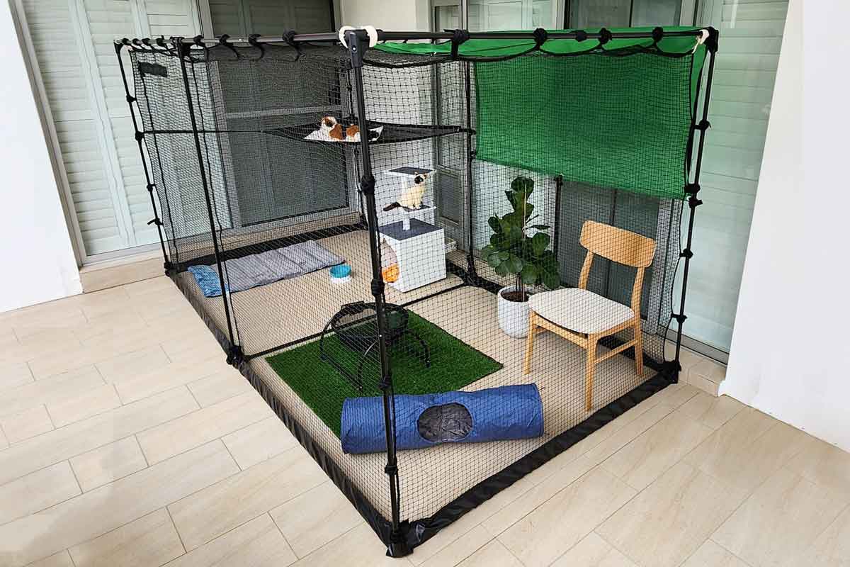 Fashion catio toys